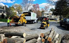 West Tawakoni, TX Tree Removal and Landscaping Services Company